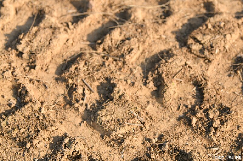警惕！河南某小区两栋楼地陷墙裂！连续强降雨致湿陷性黄土地基下沉